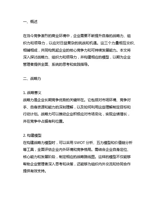 战略力 组织力 领导力 模型