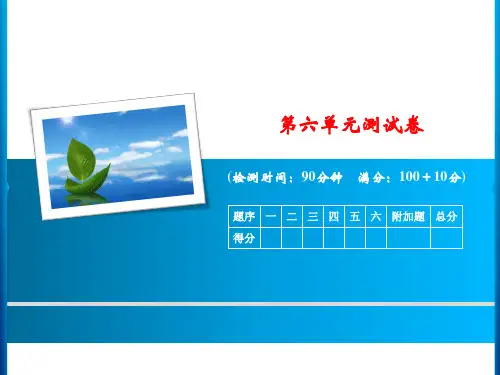 青岛版数学 五年级上册 第六单元测试卷