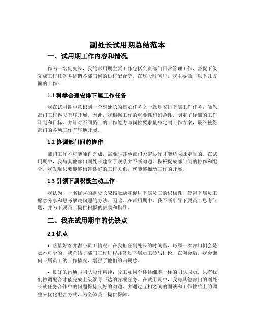 副处长试用期总结范本