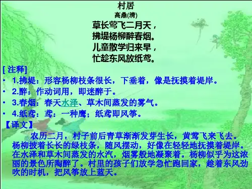21风筝.ppt