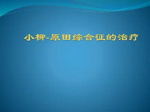 小柳原田综合症医学PPT课件