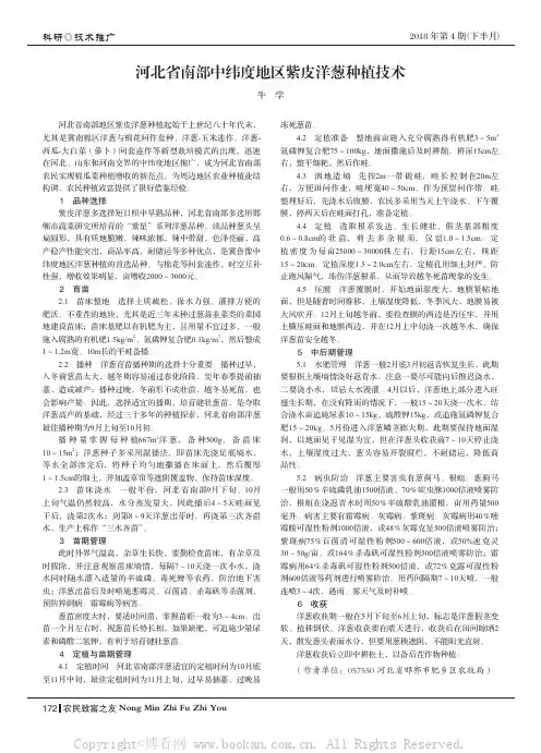 河北省南部中纬度地区紫皮洋葱种植技术
