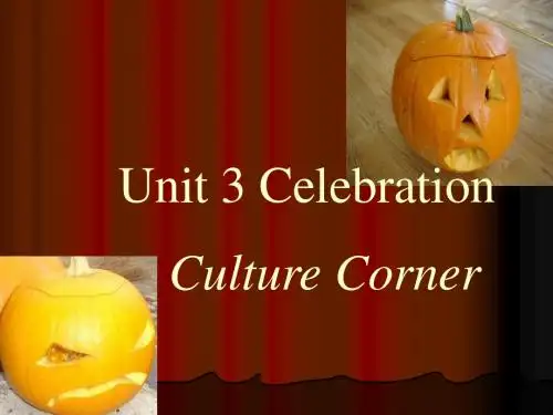 北师大版高中英语必修1 Unit3 Culture Corner参考课件