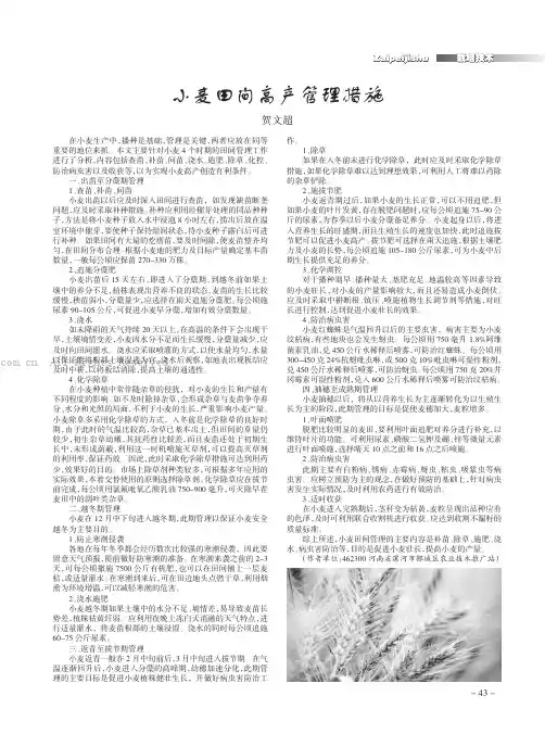 小麦田间高产管理措施