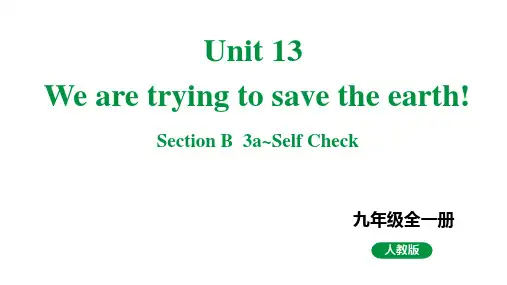 人教新目标版九全英语 Unit13 SectionB 3a~SelfCheck 教学课件