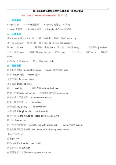 新版译林英语六年级下册知识点整理