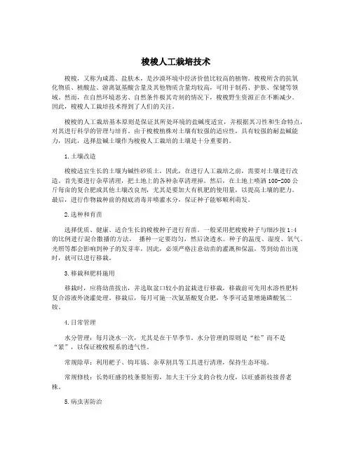 梭梭人工栽培技术
