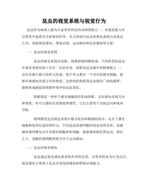昆虫的视觉系统与视觉行为