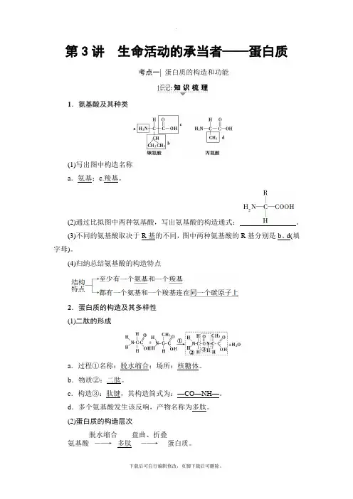 2021高考人教版生物一轮复习讲义：必修1 第1单元 第3讲 生命活动的承担者——蛋白质