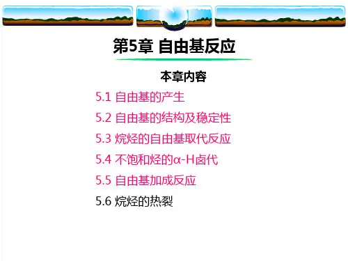 第5章 自由基反应(有机化学)