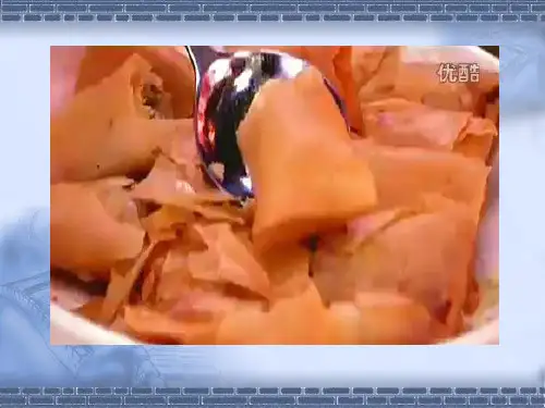 苏教版科学四年级上册4.我们的食物安全吗 (2)