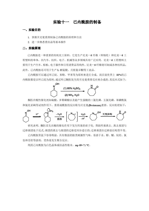 实验十一 已内酰胺的制备