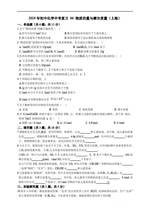 2019年初中化学中考复习 06 物质的量与摩尔质量