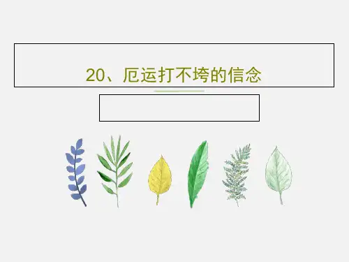 20、厄运打不垮的信念PPT25页
