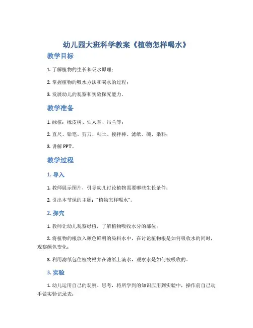 幼儿园大班科学教案《植物怎样喝水》