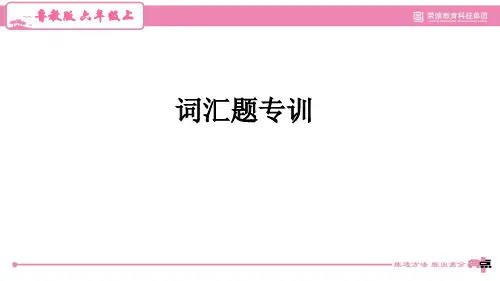 鲁教版五四制六年级英语上册期末词汇题专训