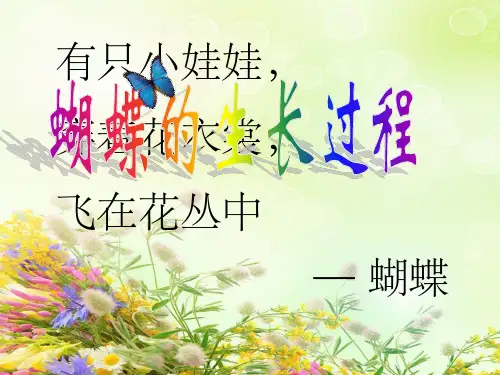蝴蝶生长过程