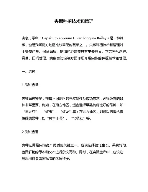 尖椒种植技术和管理