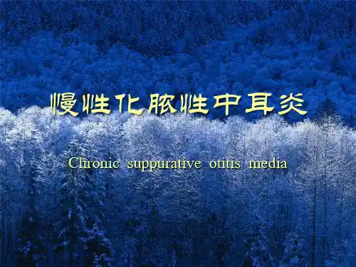 慢性化脓性中耳炎