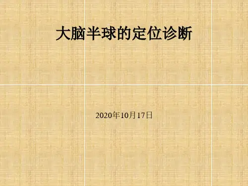 大脑半球定位诊断