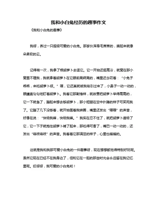 我和小白兔经历的趣事作文