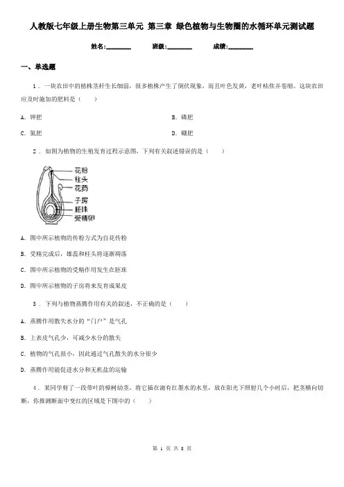 人教版七年级上册生物第三单元 第三章 绿色植物与生物圈的水循环单元测试题