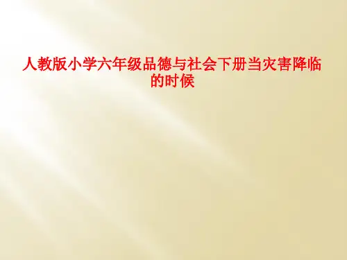 人教版小学六年级品德与社会下册当灾害降临的时候