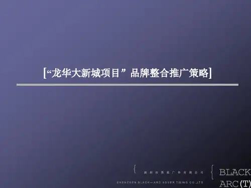 “龙华大新城项目”品牌整合推广策略[1]