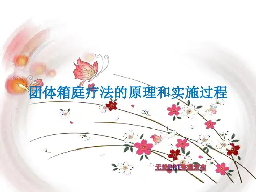 团体箱庭疗法的原理和实施过程