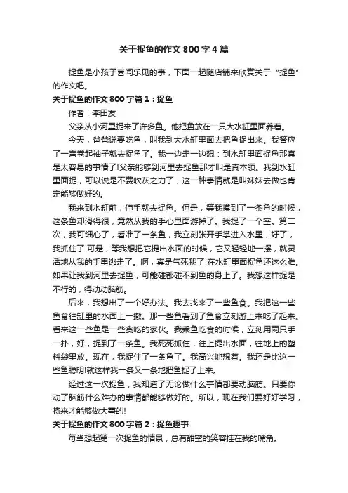 关于捉鱼的作文800字4篇