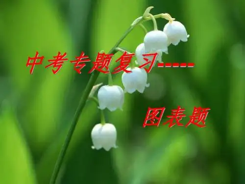 1中考语文专题复习：图表漫画徽标.pp