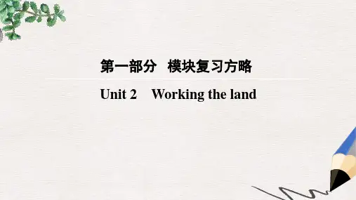 高考英语大一轮复习第1部分模块复习方略Unit2Workingtheland课件新人教版必修4
