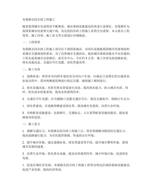 布曼路北段市政工程施工