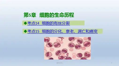 2020高考生物二轮复习第5章细胞的生命历程课件_1_1-5
