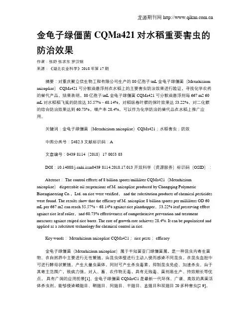 金龟子绿僵菌CQMa421对水稻重要害虫的防治效果