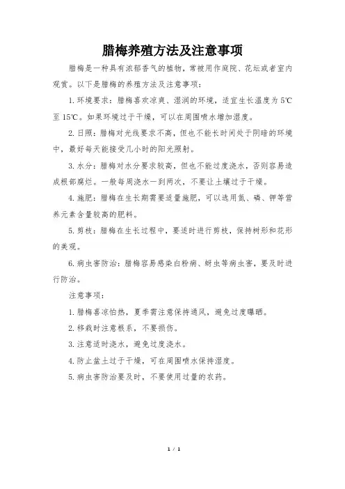 腊梅养殖方法及注意事项