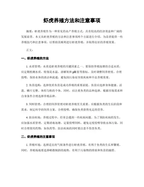虾虎养殖方法和注意事项