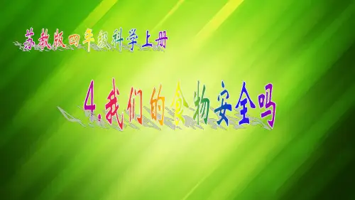 苏教版《我们的食物安全吗》优质教学PPT1
