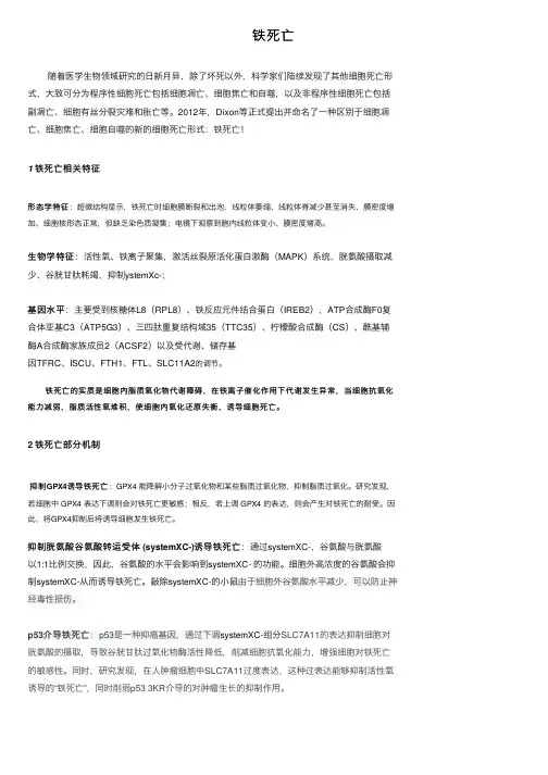 铁死亡——精选推荐