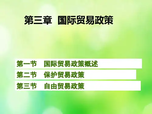 国际贸易政策概述 (ppt 89页)