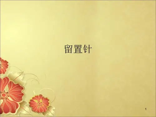 留置针PPT课件