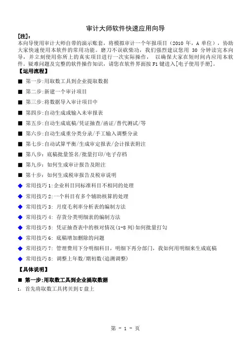 审计大师快速应用向导-9页文档资料