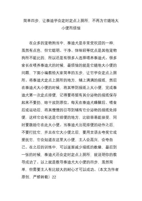 简单四步让泰迪学会定时定点上厕所不再为它随地大小便而烦恼