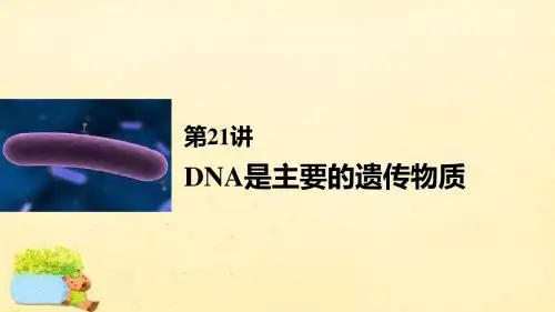 【步步高】(全国通用)2017版高考生物一轮复习 第六单元 遗传的分子基础 第21讲 DNA是主要的遗传物质课件