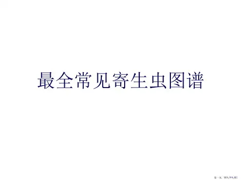 最全常见寄生虫图谱
