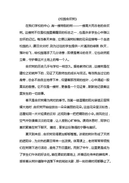 校园合欢树