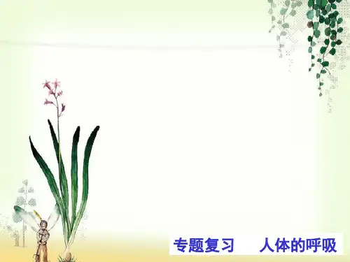 【一线精品】  人体的呼吸1   最新优秀公开PPT课件