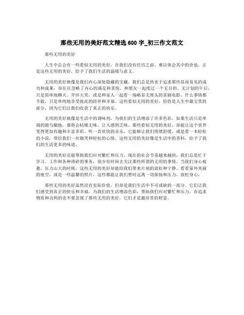那些无用的美好范文精选600字_初三作文范文