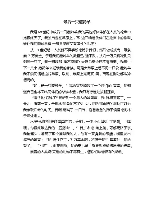 最后一只藏羚羊