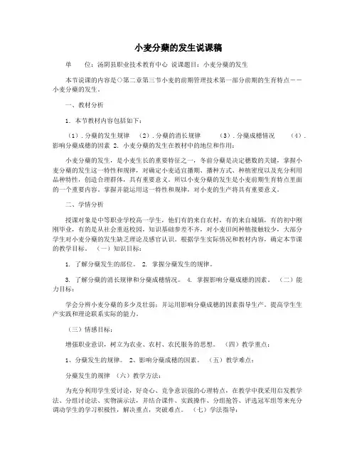 小麦分蘖的发生说课稿